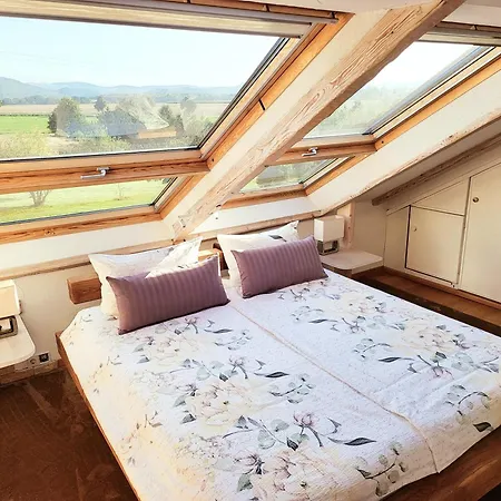 Exklusive Dachgeschosswohnung Mit Harzblick Apartment