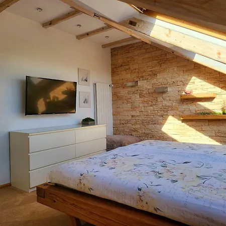 Exklusive Dachgeschosswohnung Mit Harzblick Apartment Goslar