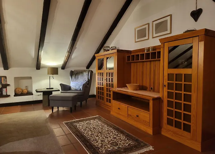 公寓 Exklusive Dachgeschosswohnung Mit Harzblick 戈斯拉尔