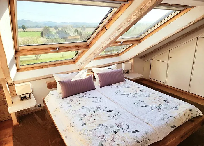 Exklusive Dachgeschosswohnung Mit Harzblick Apartman