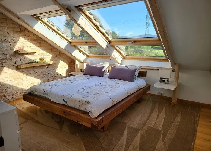 公寓 Exklusive Dachgeschosswohnung Mit Harzblick 戈斯拉尔