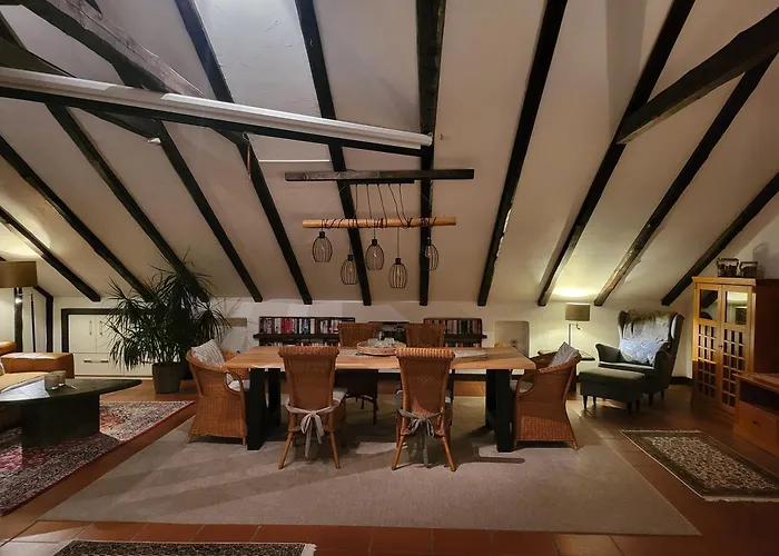 公寓 Exklusive Dachgeschosswohnung Mit Harzblick 戈斯拉尔