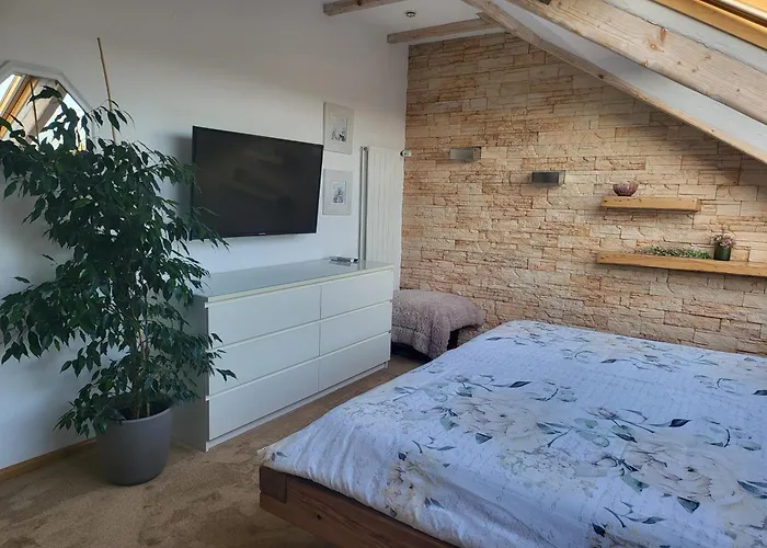 Exklusive Dachgeschosswohnung Mit Harzblick *