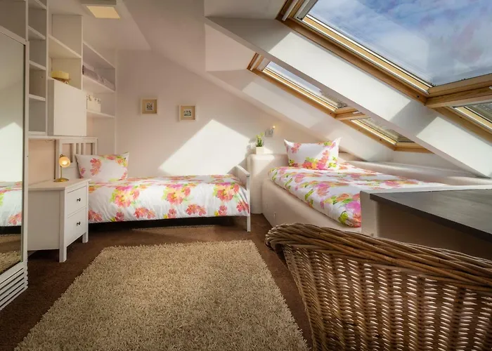 公寓 Exklusive Dachgeschosswohnung Mit Harzblick 戈斯拉尔