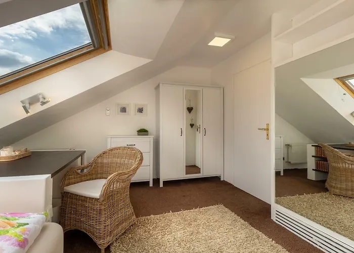 公寓 Exklusive Dachgeschosswohnung Mit Harzblick